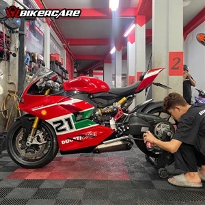 XỊT DƯỠNG SÊN PHÂN KHỐI LỚN